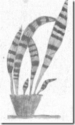 clip_image004